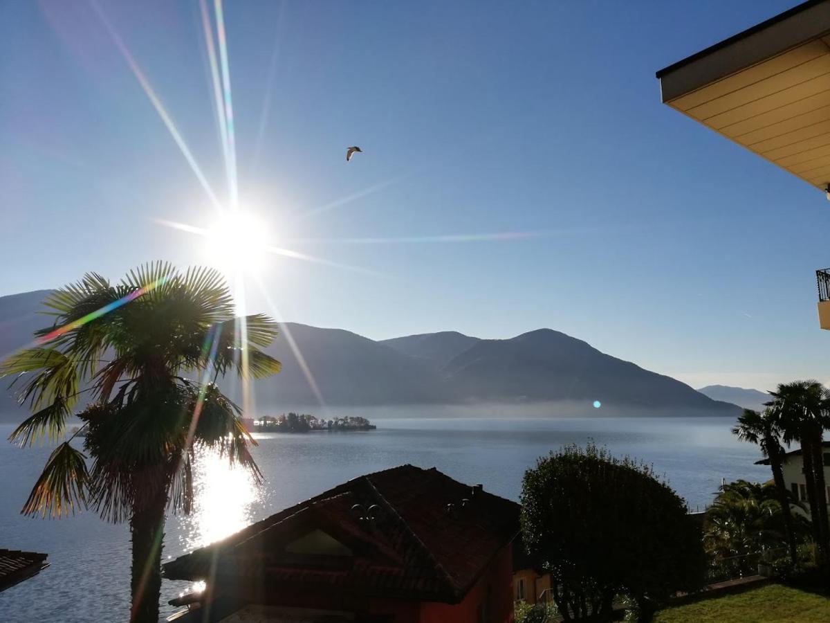 Casa Eva Apartment Ronco sopra Ascona Exterior photo