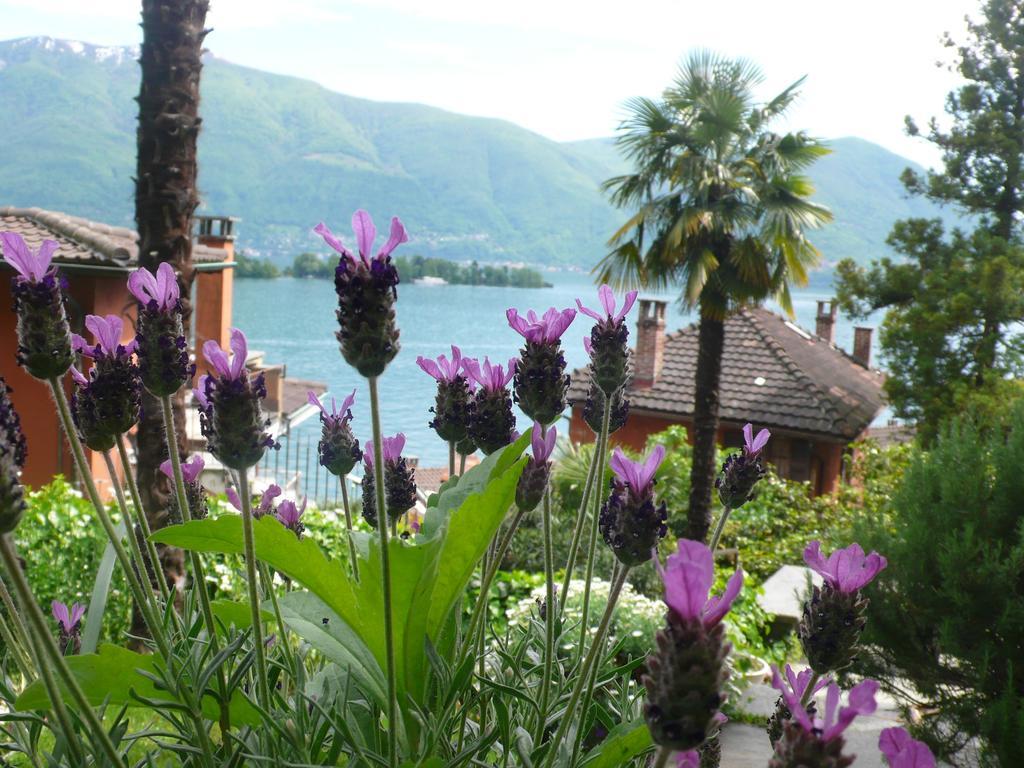 Casa Eva Apartment Ronco sopra Ascona Exterior photo